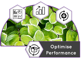 Optimise Perf Optimise Perf