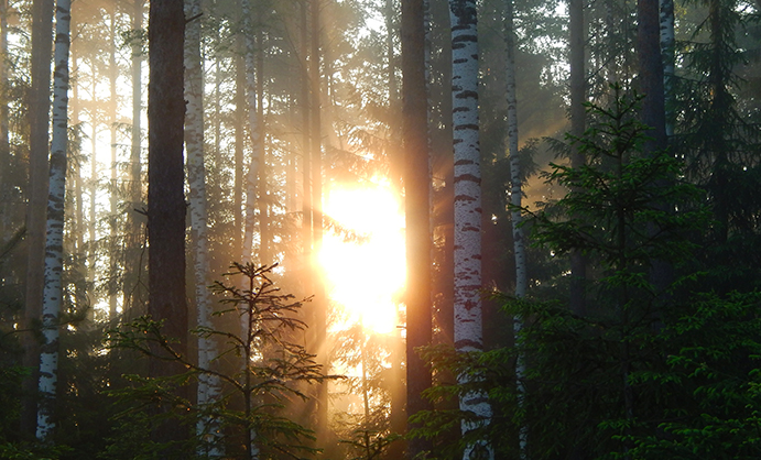 sergey resized sergey resized